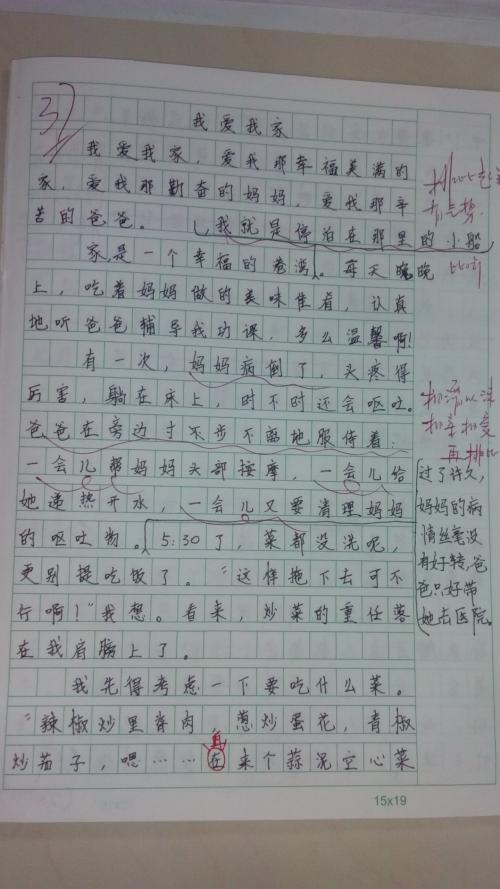我爱我的家庭作文400字