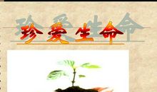 生命因挫折而闪光