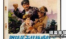 钢铁是怎样炼成的读后感800字