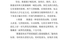 国宝大熊猫作文三年级300字左右