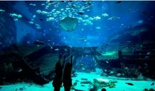 海洋馆之旅