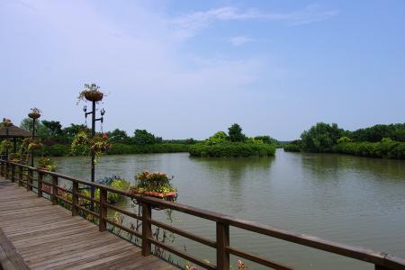游城北湿地公园
