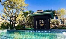 从阳光中窥见友谊