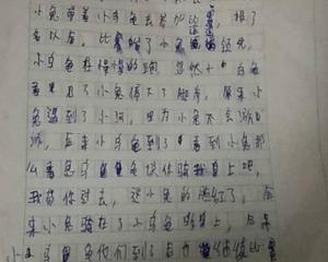 继续写关于乌龟和野兔的300个单词