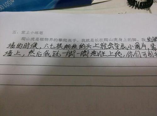 爬行者的叙述
