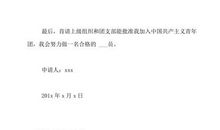 最新初中班干部入团志愿书范文