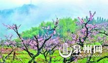 紫阳美景——寻诗径