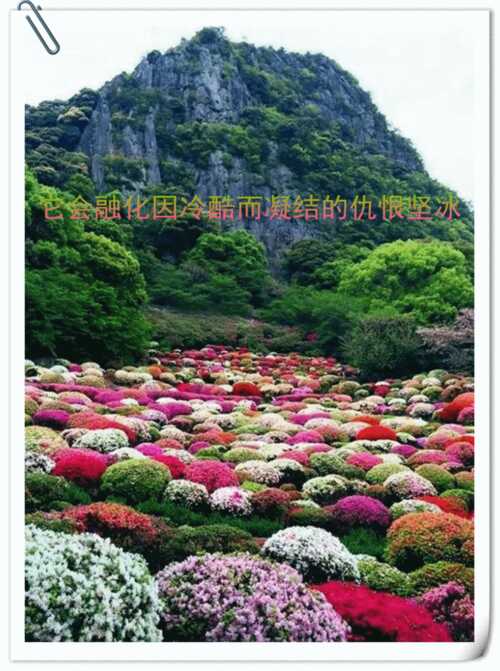 甜蜜的回忆