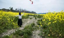 草长莺飞欢乐春游