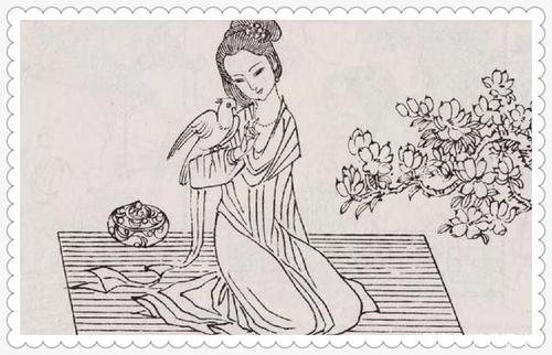 一个故事