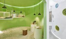 我的班级像个动物园