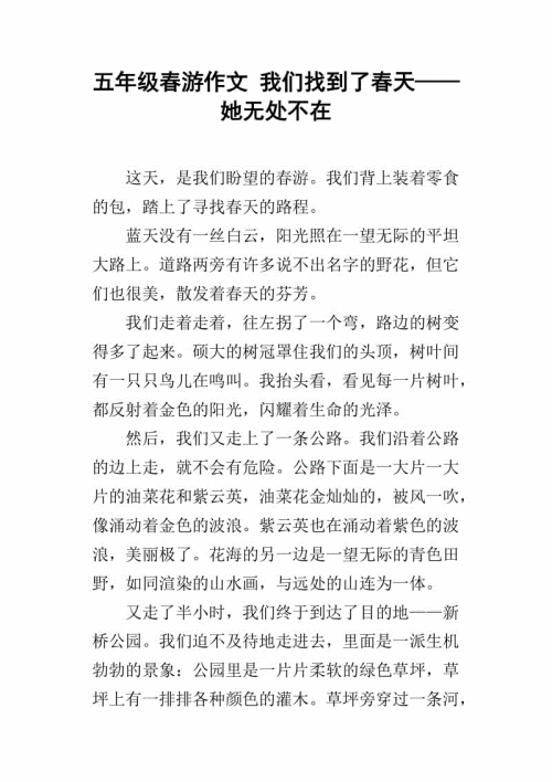 他五年级作文怎么了