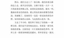 他怎么了作文五年级