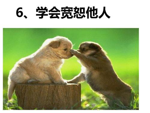 学会宽恕