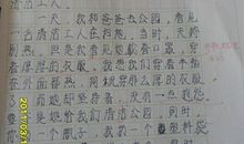 一个令我敬佩的同学