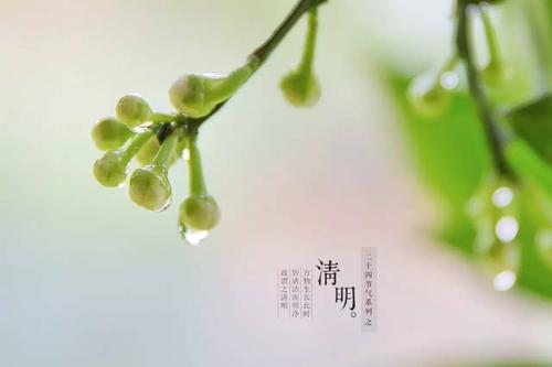 多雨而晴朗