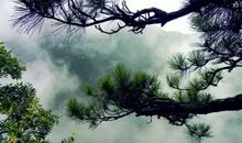 嗅到诗词的芳香