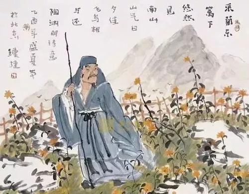 在南山峡种植豆