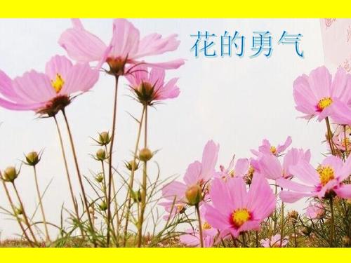 花勇气