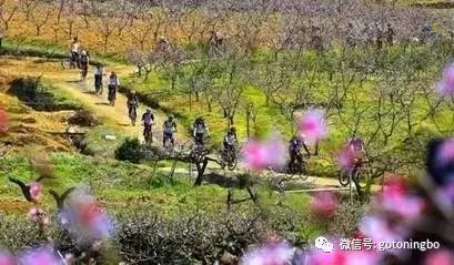 喜欢美丽的大堰