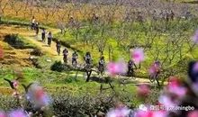 为美丽大堰而点赞