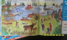 神奇的旅行读后感