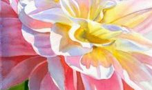 感受平凡中的美