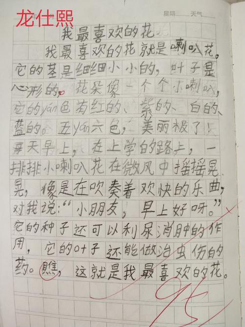 我喜欢一种花，构图出色