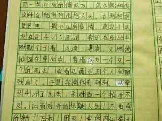 我心中的宝藏构成