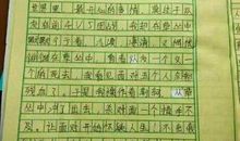 我心目中的珍宝作文