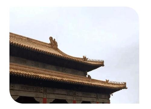 呵护未来