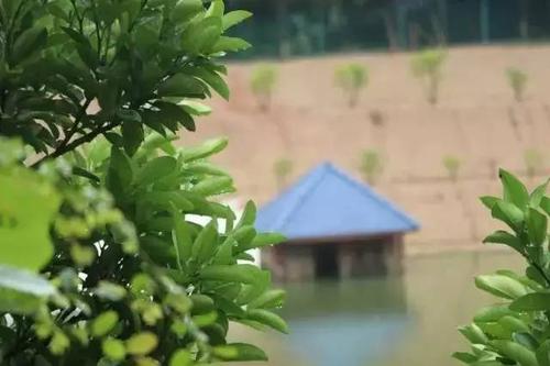 我与什么的亲密接触