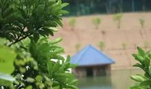 我与什么的亲密接触