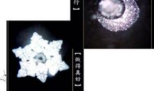 观《水知道答案》有感