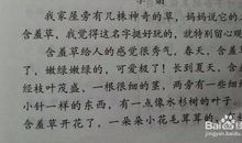 写早晨起床的作文