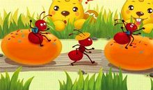 蚂蚁逃生的启示