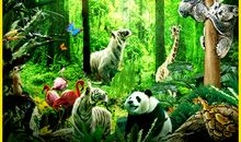 长隆野生动物园一日游