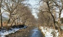 一年四季的小河