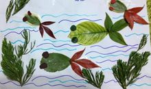 我是一条幸福的鱼