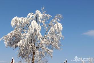 听雪螺的声音