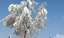 倾听雪落的声音