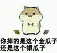 古怪的仓鼠