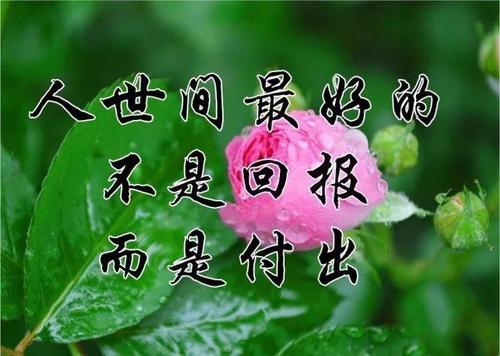 同学我想你