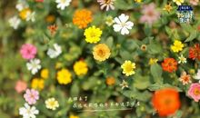 我向往，风一样的生活