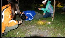 我的拿手好戏做蛋炒饭