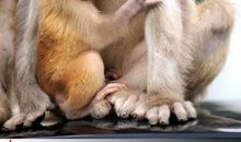 我懂得了母爱的伟大