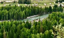 暑假之旅——新疆那平堤