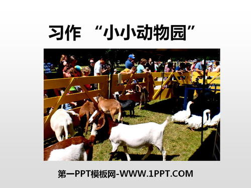 小动物园