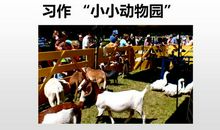 小小的动物园