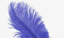 那一支蓝色的钢笔